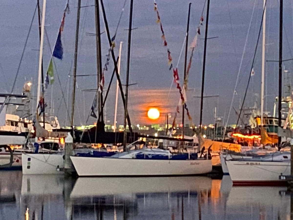 Anacortes Race Week 2021 – Friday&nbsp;Checkin